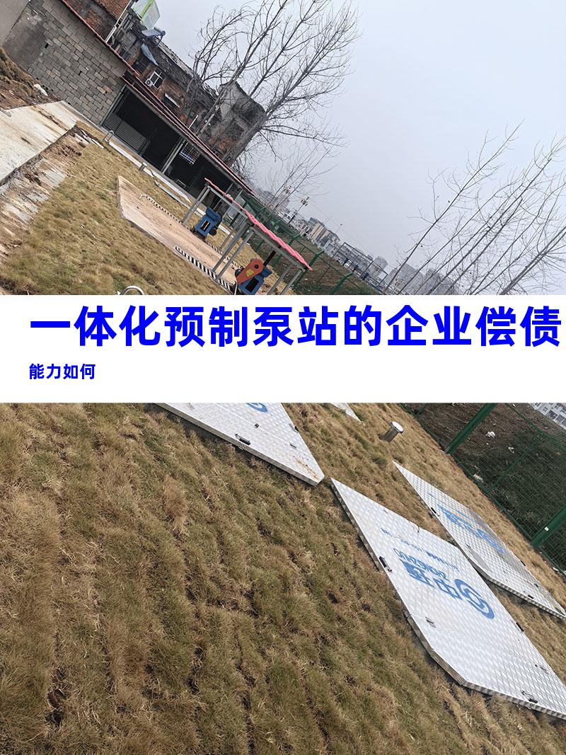 一体化预制泵站的企业偿债能力如何