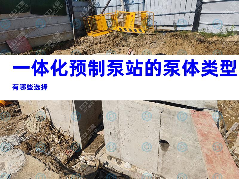 一体化预制泵站的泵体类型有哪些选择
