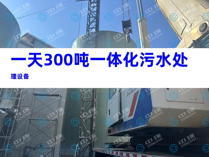 一天300吨一体化污水处理设备