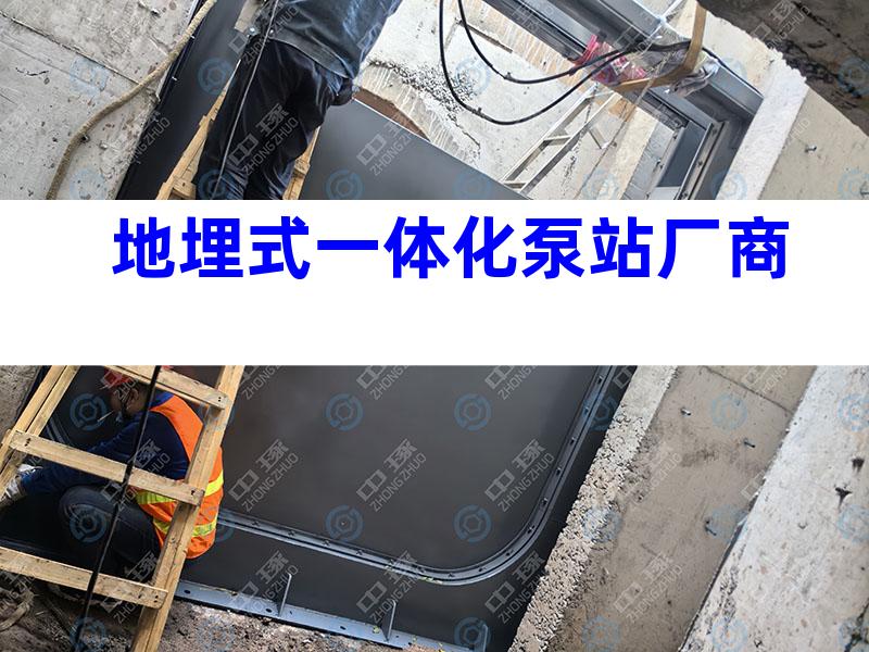 地埋式一体化泵站厂商