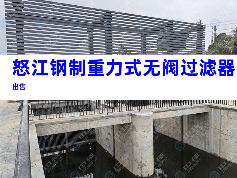 怒江钢制重力式无阀过滤器出售