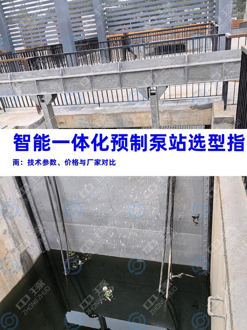 智能一体化预制泵站选型指南：技术参数、价格与厂家对比