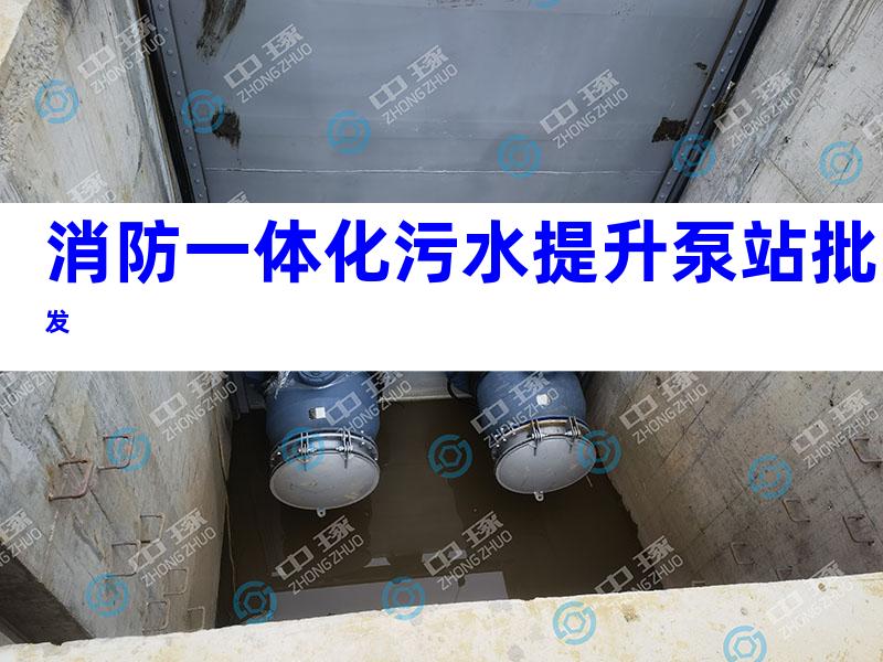 消防一体化污水提升泵站批发