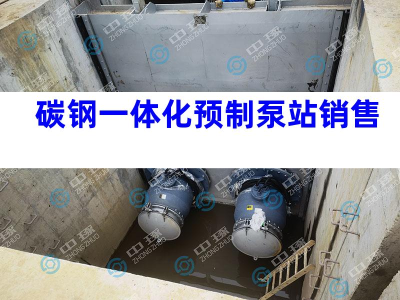 碳钢一体化预制泵站销售